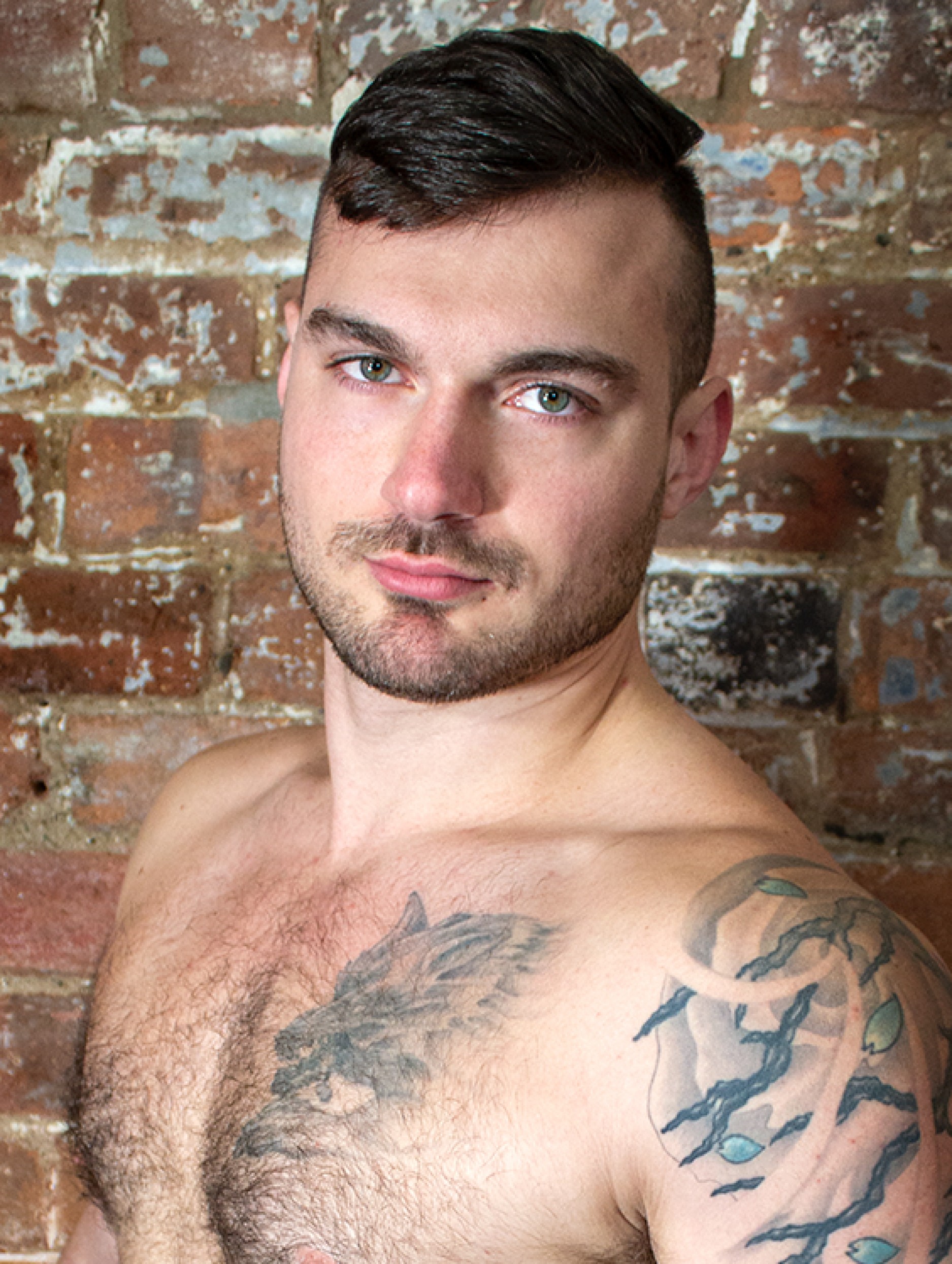 Aiden tyler gay porn